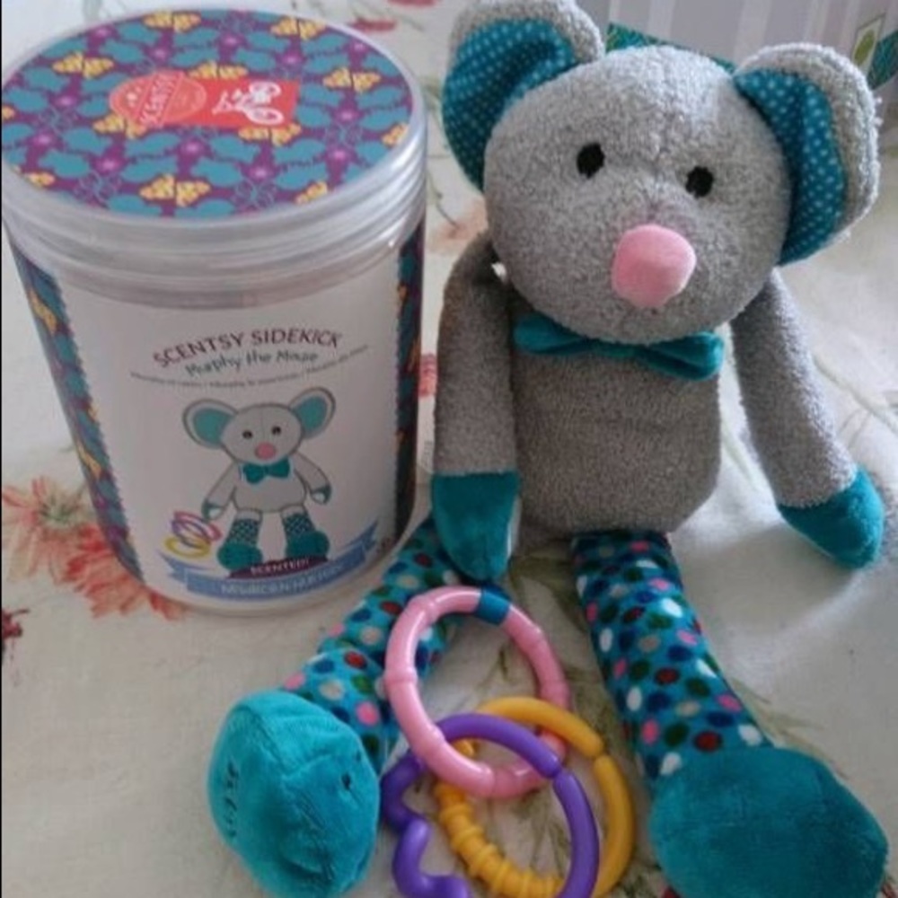 Scentsy sidekick